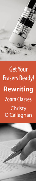 Revision Zoom Workshops with Christy O'Callaghan