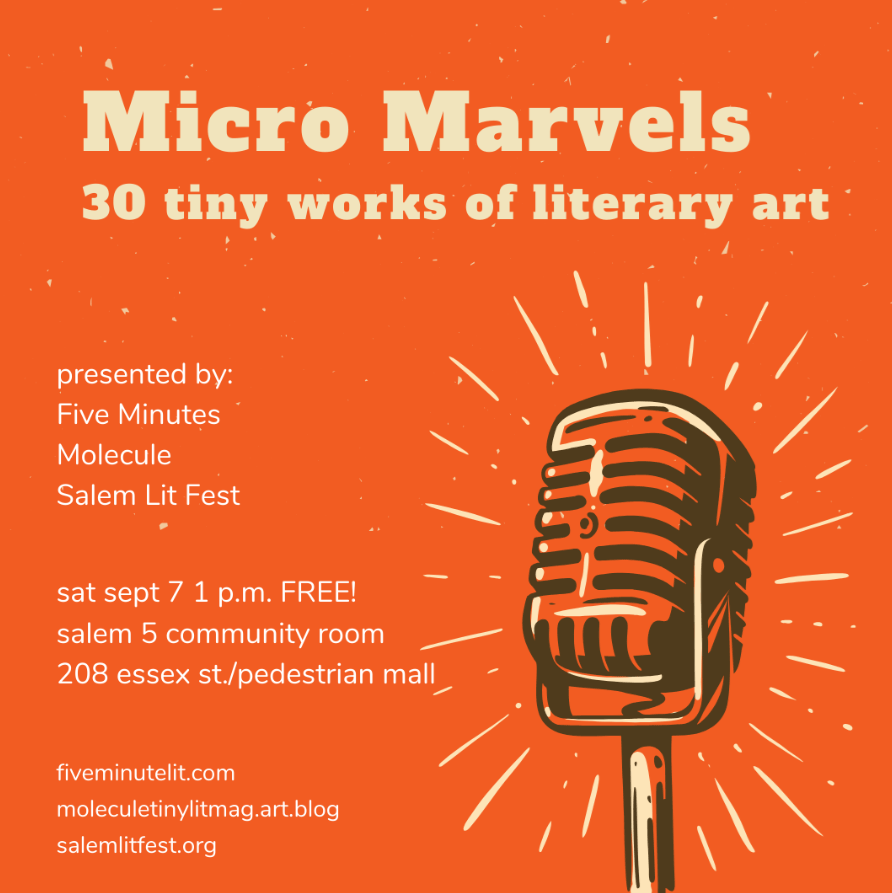 Micro Marvels at Salem Lit Fest